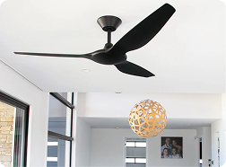 Ceiling Fan Installation